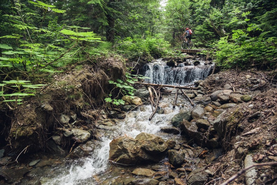 DS_BCBR17_Day7_1420-(ZF-8515-93191-1-006)